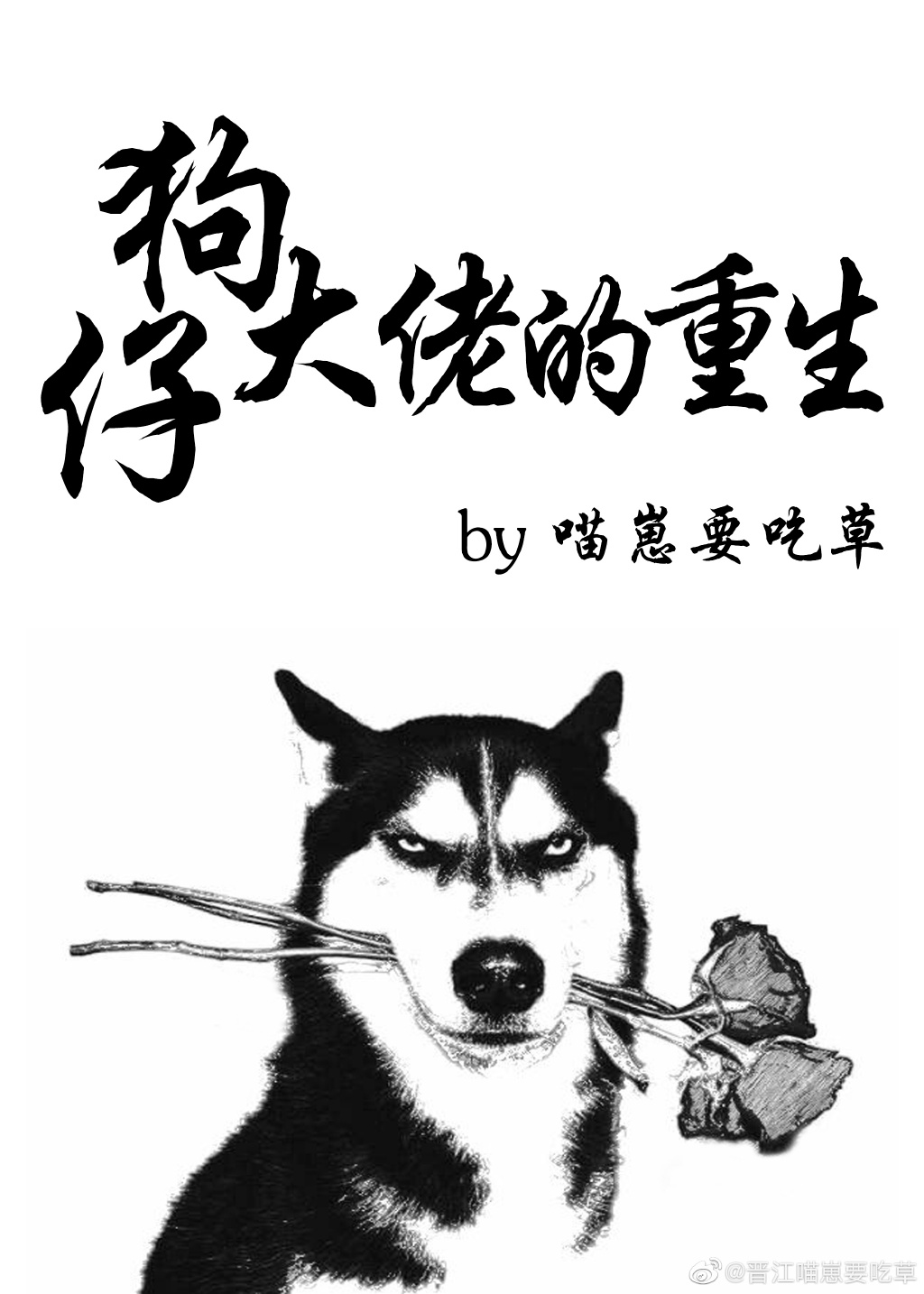 狗仔大佬的重生之路小说