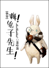 兔子小说