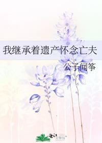 我继承着遗产怀念亡夫txt