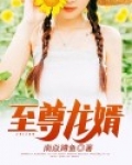 至尊龙婿