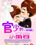 宠婚,官少的小蛮妻