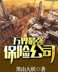 万界最强保险公司