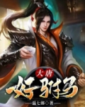 大唐好驸马
