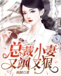 总裁小妻又飒又狠
