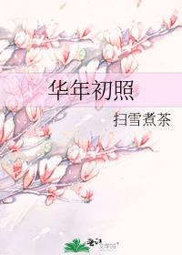 华年初照扫雪煮茶142