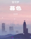 宝可梦：暮色
