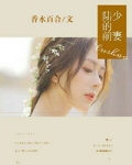 陆少的前妻