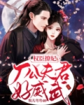 权臣撩妃：厂公夫君好威武