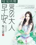 狼性总裁的暗宠