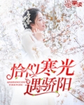恰似寒光遇骄阳