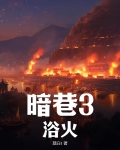 暗巷3：浴火
