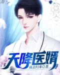 天降医婿