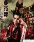 葵花传