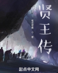 贤王传