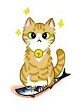猫猫我啊，养两脚兽捏